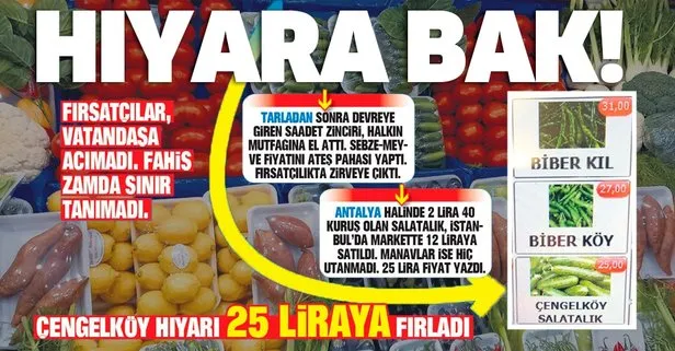 Fırsatçılar vatandaşa acımadı: Antalya halinde 2 lira 40 kuruş olan salatalık manavda 25 liraya fırladı!