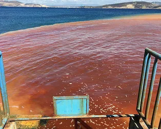 İzmir’de denizi ne hale getirdiler?