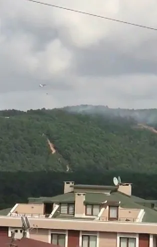 Son dakika: Kartal Aydos Ormanı'nda yangın!