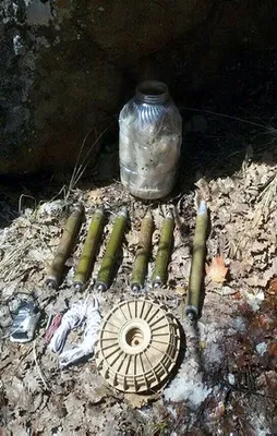 Tunceli'de PKK'ya operasyon