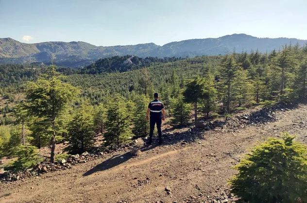 Jandarma orman nöbetinde