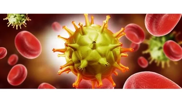 Dang humması virüsü belirtileri? Dang humması virüsü nedir? Tedavisi var mı? Yeni virüs şoke etti! Binlerce kişi öldü...-2