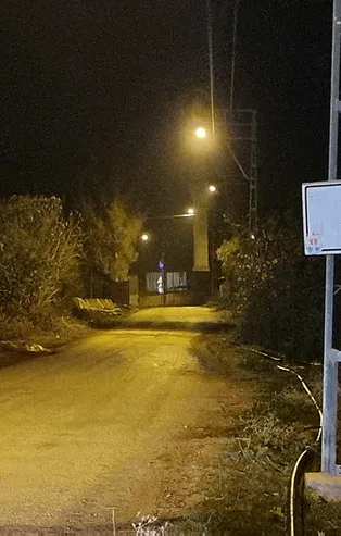 Adana'da mavi dil alarmı! Bölge karantinaya alındı | Mavi dil hastalığı nedir, belirtileri neler?