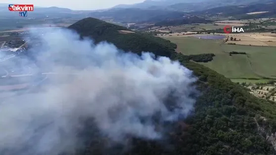 Tokat’taki orman yangını!