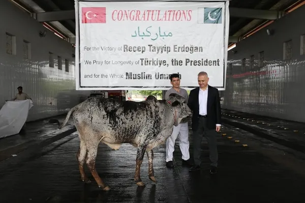 baskan-erdoganin-secim-zaferi-dolayisiyla-pakistanda-sukur-kurbanlari-kesildi-1685549434197.jpeg Başkan Erdoğan'ın seçim zaferi dolayısıyla Pakistan'da şükür kurbanları kesildi!-2