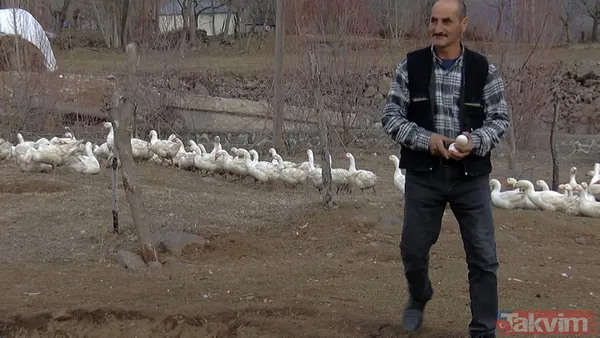 "Yapamazsın" dediler! 300 bin lirayla girdi! 15 bin yavru siparişi aldı - 2