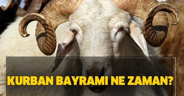 Kurban Bayramı ne zaman 2020? Kurban Bayramı tatili kaç gün? Kurbanlık fiyatları açıklandı!