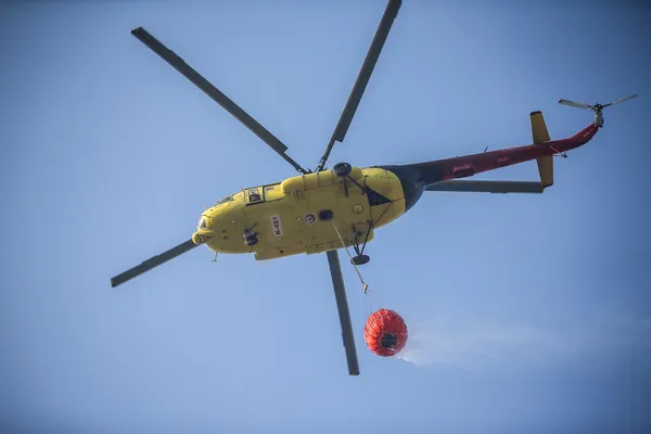 Bilecik'te çıkan ve Bursa'ya sıçrayan orman yangını kontrol altına alındı-3