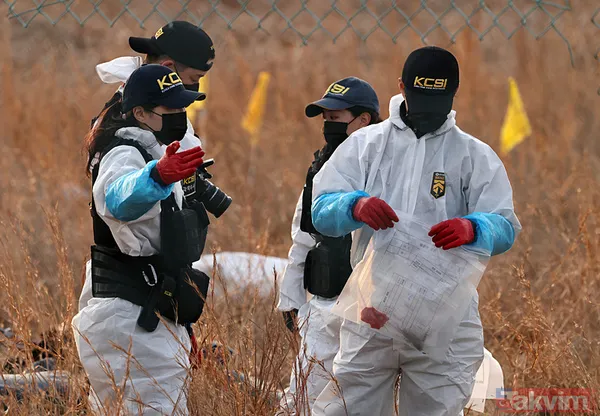 Güney Kore’deki uçak kazasında duvar skandalı! Uzmanlar “Pistin sonunda ne işi var” dedi - 3