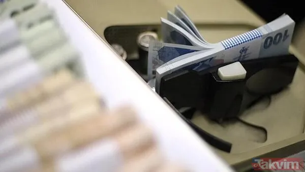 Ailelere vatandaşlık maaşı desteği! Vatandaşlık maaşı ne kadar olacak? Kim ne kadar ödeme alacak? - 2