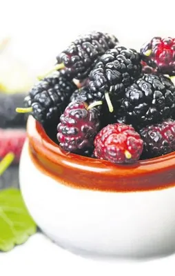 Ispanak-roka-dut kemik erimesini unut