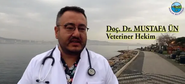 SON DAKİKA: CHP'li İBB'nin kayıp at skandalında kan donduran gerçek: Kayıp atlara kayıt dışı ilaç-7