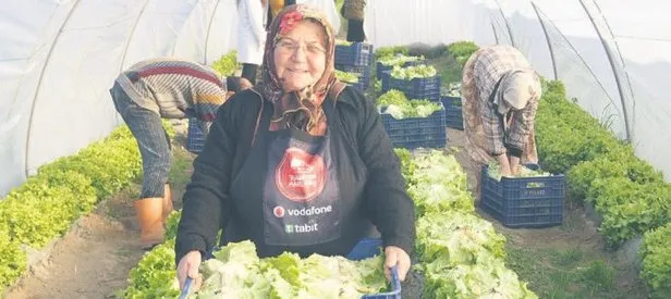 Akıllı köy model oluyor