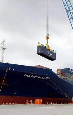 İhracatta rekor artış