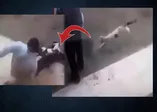 Kedinin saldırdığı belediye başkanına 100 dikiş atıldı