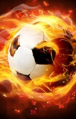 Emre Mor'un menajeri Fenerbahçe kulüp binasında!