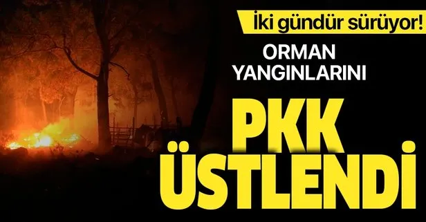Orman yangınlarını PKK üstlendi