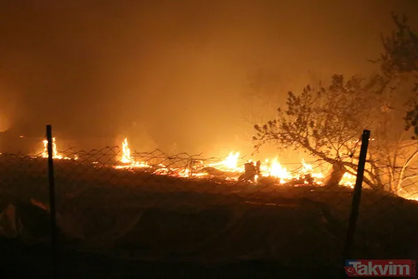 Antalya Manavgat'ta yangın felaketi! Acı haber geldi: 3 kişi hayatını kaybetti - 31