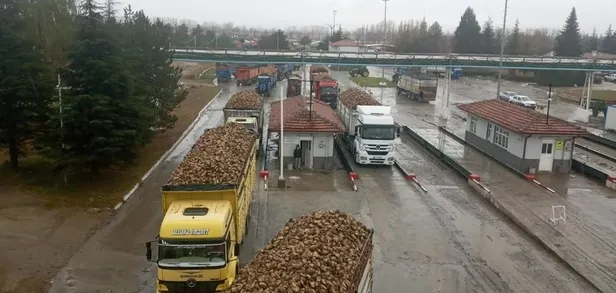 Şekerdeki zammın sebebi stokçular: Bağımlılık bitti üretim tam gaz! Depolar ağzına kadar dolu-8