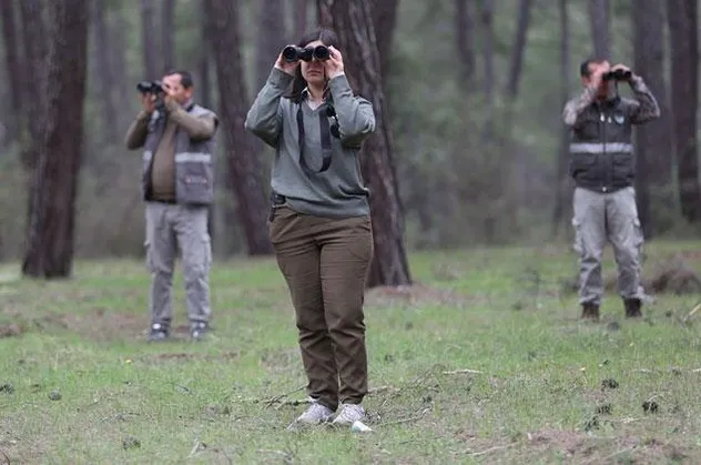 Antalya'da panik! Hayvanat bahçesinden kaçan kurt...