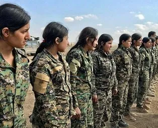 BMde YPG/PKK skandalı! Eylem planı adı altında anlaştılar