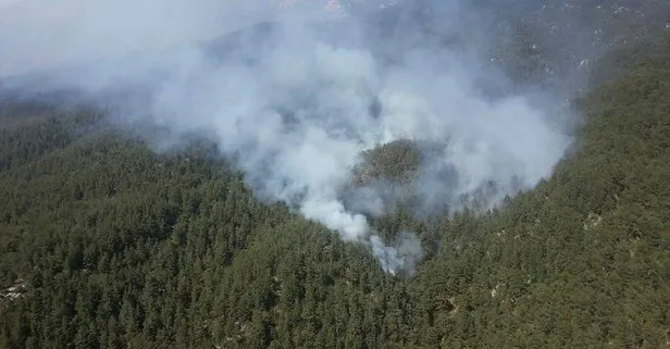 Son dakika: Antalya Demre’deki yangında, 100 dönüm orman alanı kül oldu