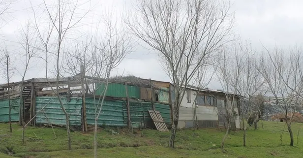 Dehşet çiftliği ile ilgili korkunç gerçek-1