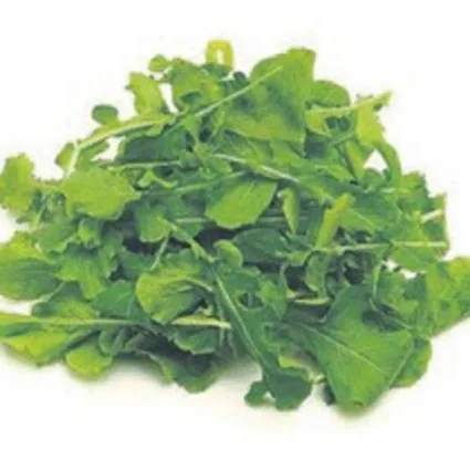 Kemiklere çare roka