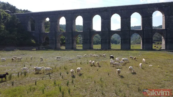 Barajlarda doluluk oranı ne durumda? İstanbul'da barajlar dolu mu? DSİ beklenen açıklamayı yaptı - 15