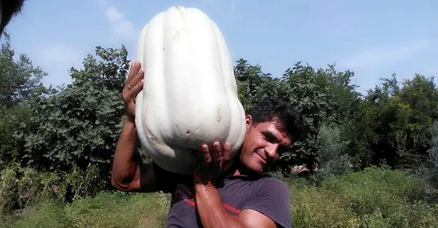 Görenler gözlerine inanamadı! Tek başına...