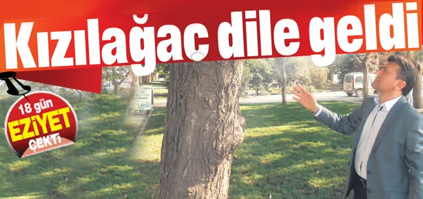 Kızılağaç dile geldi