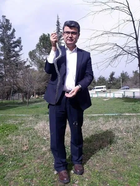 Bahçesinde yakaladığı yılanı serbest bıraktı!-2