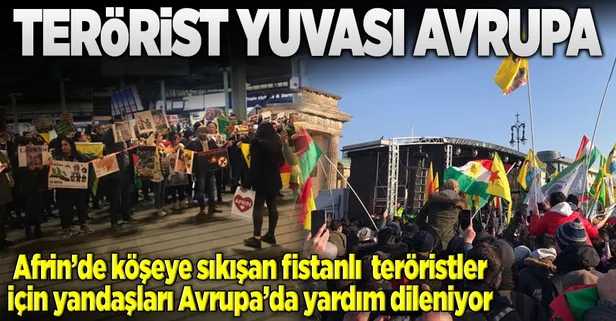 Terörist yuvası Avrupa