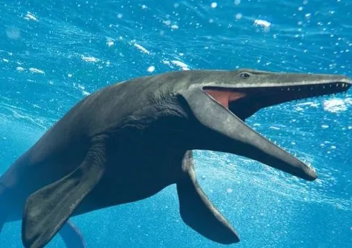 75-milyon-yil-once-yasayan-130-disli-2-metrelik-canavar-bulundu-bilim-dunyasinin-agzi-acik-kaldi-1702563750614.jpg 130 dişli canavar bulundu: Dehşet saçmış!-6