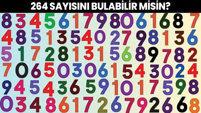 yapboz-iq-testi-yalnizca-dedektif-beyinler-264-sayisini-10-saniyede-tespit-edebilir-1701186851376.jpg