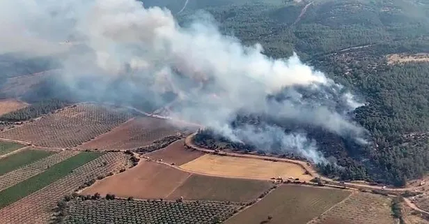 Manisa’dan iyi haber! Saatlerce süren yangın söndürüldü