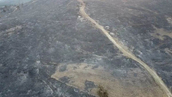 Çanakkale'de orman yangını kontrol altında: Yanan alanlar havadan görüntülendi-4