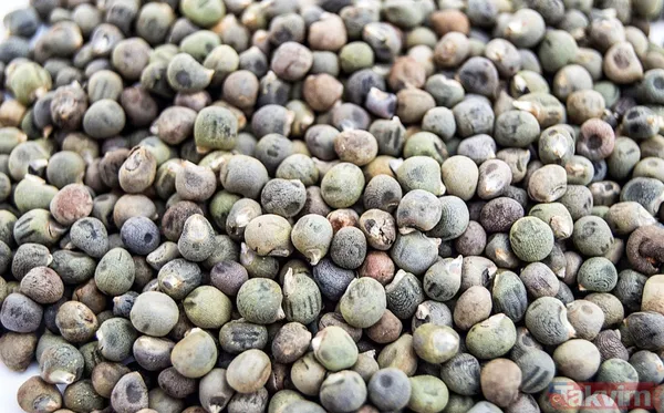 Hem zayıflatıyor hem de hafızayı çelik gibi yapıyor! Adeta mucizenin bir diğer adı gibi... - 12