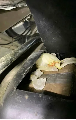 Van'da uyuşturucu operasyonunda "soğan" detayı