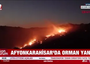 Afyonkarahisar’da orman yangını!