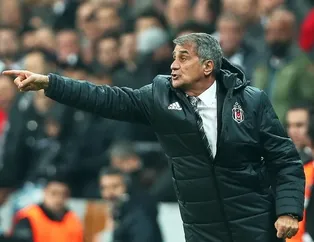 Beşiktaş'ın yeni hocası kim olacak? İşte Şenol Güneş'ten sonra adaylar...
