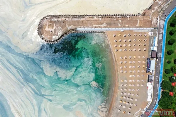 Caddebostan Sahili'nde müsilaj yoğunluğu arttı! Tabloya benzer görüntüler oluştu - 4