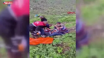 Sivas'ta ayı dehşeti can alıyordu