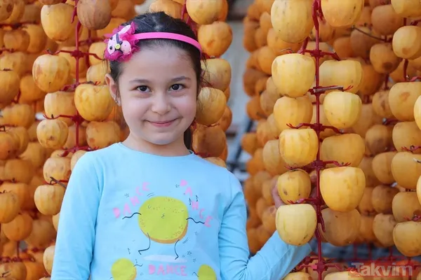 Cennet hurmasında yaş olanın fiyatı 6 kuru olanın fiyatı 50 TL! Almanlar kuru Ruslar yaş tercih ediyor - 18