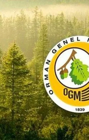 Orman Genel Müdürlüğü orman mühendisi alımı şartları nelerdir? OGM personel alımı ne zaman yapılacak? Hangi illerde alım yapılacak?