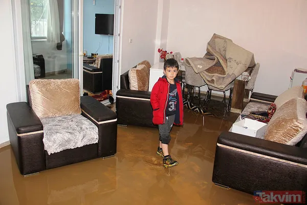 Muğla Bodrum'da hep aynı manzara! Evleri su bastı, sokak hayvanları boğuldu - 10