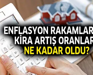 TEFE TÜFE enflasyon rakamları ve TÜİK Kasım 2019 kira artış oranı zammı ne kadar oldu?