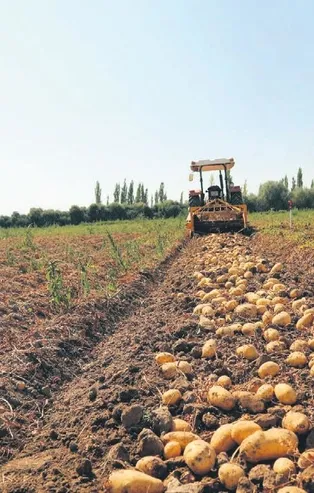 Tarım Kredi 2020'de çiftçiden 2,5 milyar liralık ürün alımı hedefliyor!