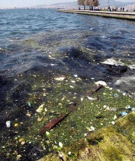 Chp Nin Izmir Korfezi Ndeki Rezalete Kayitsizligi Pes Dedirtti Takvim Chp Nin Izmir Korfezi Ndeki Rezalete Kayitsizligi Pes Dedirtti Takvim