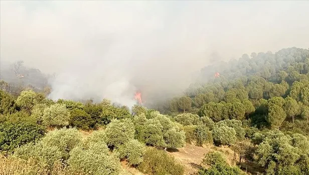 Son dakika: İzmir'de korkutan orman yangını!